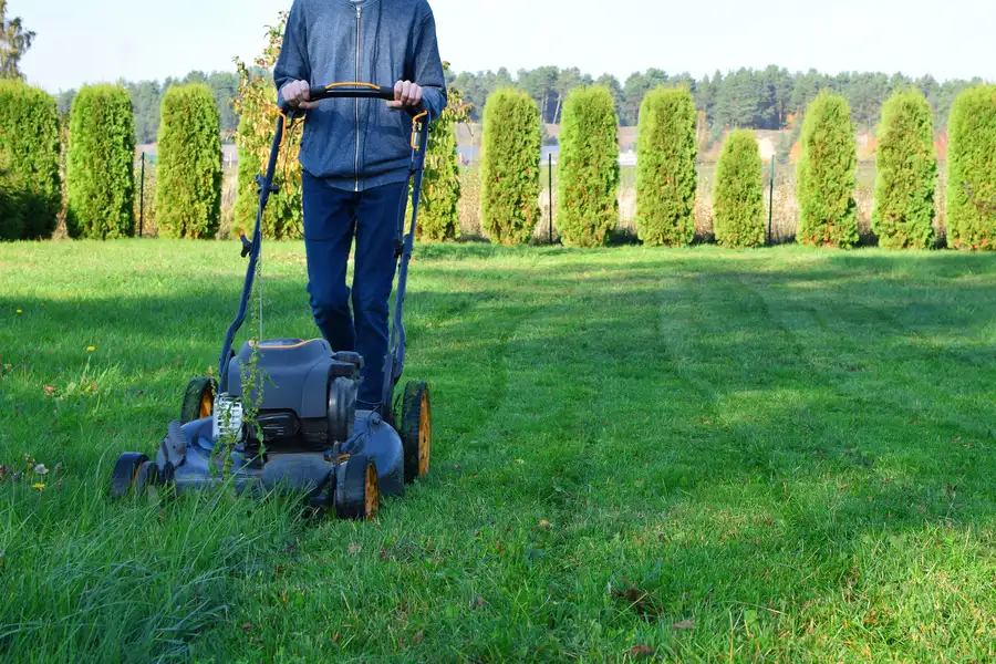 Common Lawn Mowing Mistakes And How To Avoid Them Bronx, NY Common Lawn Mowing Mistakes And How To Avoid Them Bronx, NY
