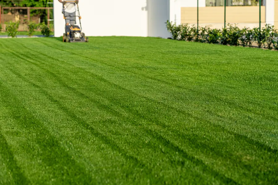Common Lawn Mowing Mistakes And How To Avoid Them in Bronx, NY Common Lawn Mowing Mistakes And How To Avoid Them in Bronx, NY