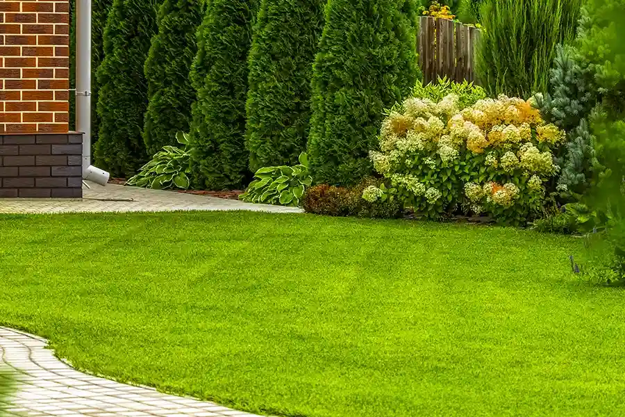 Expert Lawn Care Service Bronx, NY Expert Lawn Care Service Bronx, NY