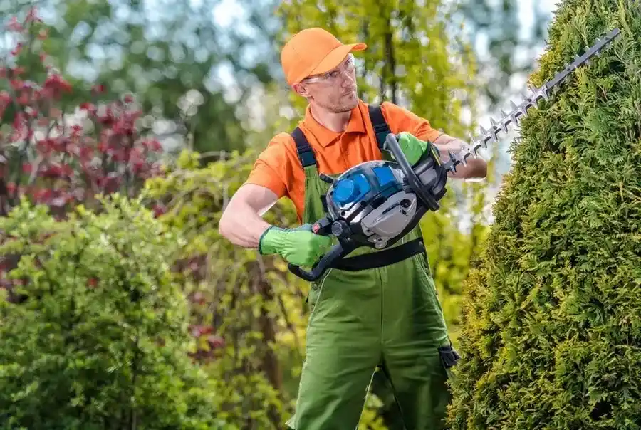 Key Benefits Of Regular Bush Trimming For Your Yard Bronx, NY Key Benefits Of Regular Bush Trimming For Your Yard Bronx, NY