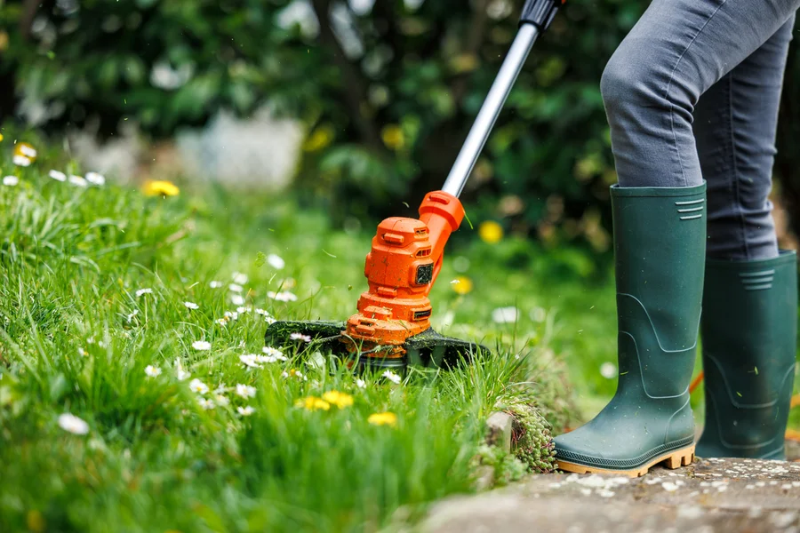 Local Lawn Care Service Bronx, NY Local Lawn Care Service Bronx, NY