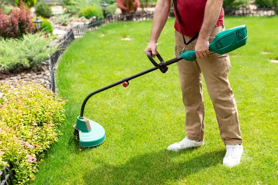 Professional Lawn Care Service Bronx, NY Professional Lawn Care Service Bronx, NY