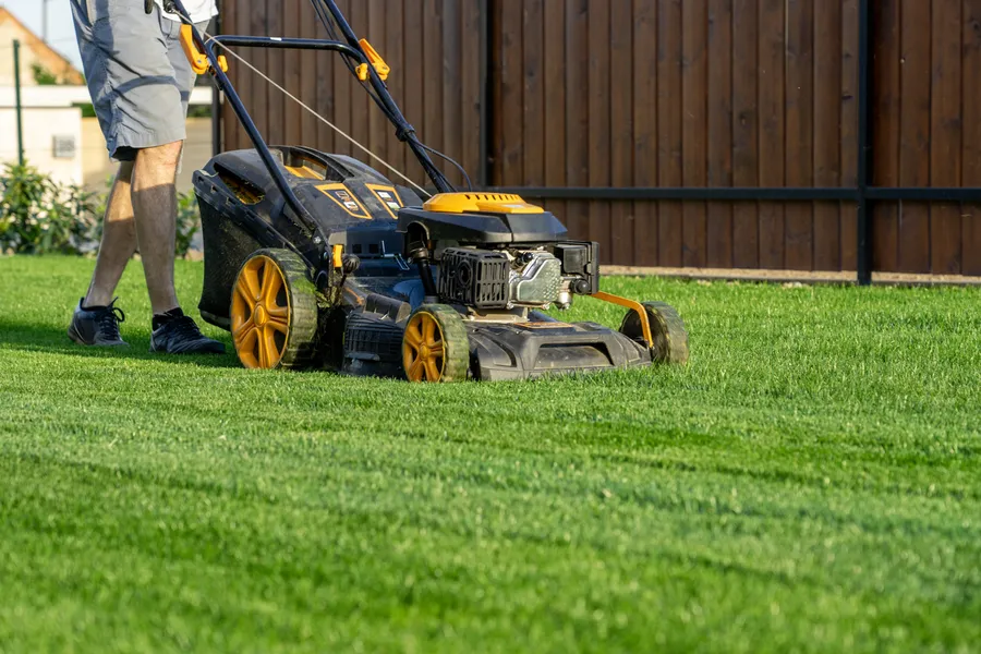 Understanding The Ideal Frequency For Lawn Mowing Bronx, NY Understanding The Ideal Frequency For Lawn Mowing Bronx, NY