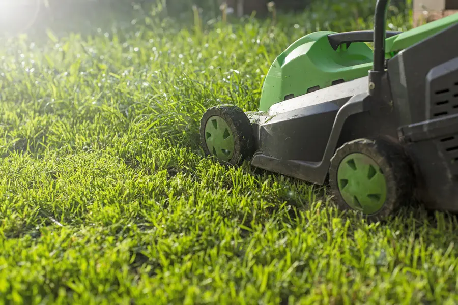 Understanding The Ideal Frequency For Lawn Mowing in Bronx, NY Understanding The Ideal Frequency For Lawn Mowing in Bronx, NY